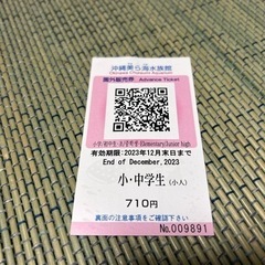 沖縄美ら海水族館　チケット4枚セット！の画像