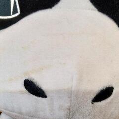 牛のぬいぐるみの画像
