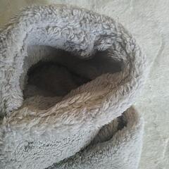 新品未使用です！最終値下げ‼️の画像