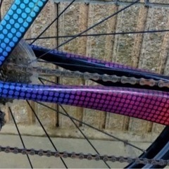 ジャンク(後タイヤパンク)【TEMPEST BIKES】 サーベロ Cervelo S5 AIRWOLF エアウルフ ロードバイク 2015年モデル の画像