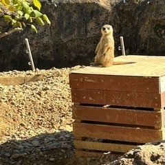 大人になってからのお友達☕️