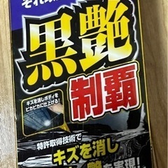 【決定】車 黒艶 液体コート剤🚗