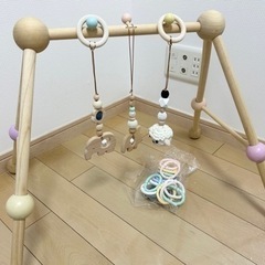 ベビージム　プラントイ　プレイジム の画像