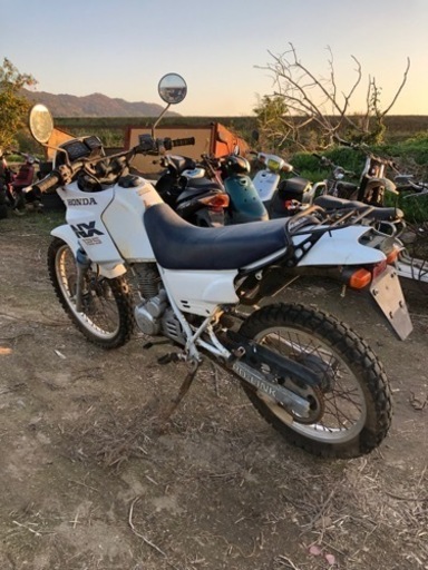 ホンダNX125 書類付レストアベース車 (エヌスタイル) 和歌山のバイクの