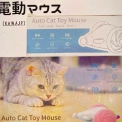 おもちゃ電動マウス 猫 ブルー