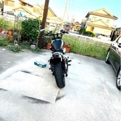 ビラーゴ250の画像