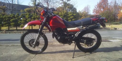 【オフ車！】セロー225 2LN