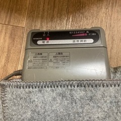 【お話中】ホットカーペット1 長方形の画像