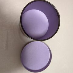 ANNA SUI　ケースの画像