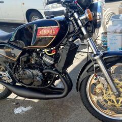 極上 rz250