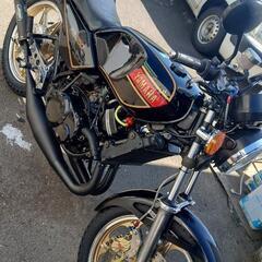 極上 rz250の画像