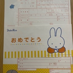 ミッフィー  出生届