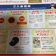 ヤクルトスワローズ　株主優待　レギュラー会員権の画像