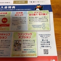 ヤクルトスワローズ　株主優待　レギュラー会員権の画像
