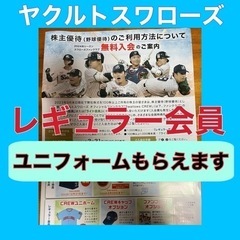 ヤクルトスワローズ　株主優待　レギュラー会員権の画像