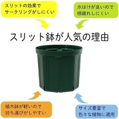兼弥産業 スリット鉢 CSM-210 7号