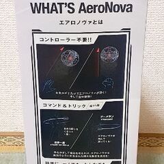 2月末で処分！手モートコントロールの画像