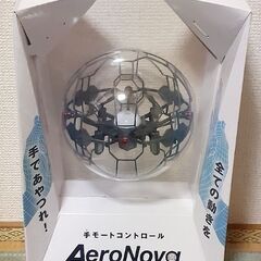 2月末で処分！手モートコントロール