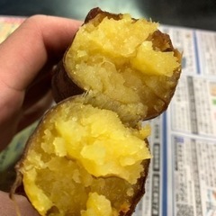 〜3/8限定！さつまいも(熟成べにはるか🍠)2.5kg