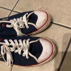 ラコステ　靴　28センチ【使用回数5回未満】の画像