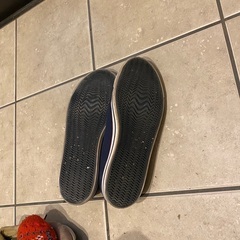 ラコステ　靴　28センチ【使用回数5回未満】の画像