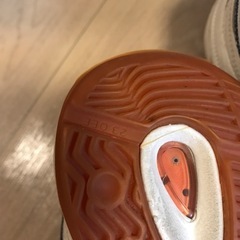 体育館　シューズ　23.0cm GYMSTARの画像