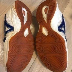 体育館　シューズ　23.0cm GYMSTARの画像