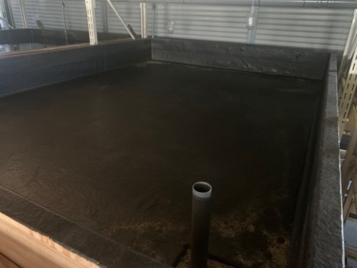 FRP大型イケス　2400×3300×380 アクリル水槽、FRP水槽、メダカ、金魚、らんちゅう、オランダ獅子頭、錦鯉