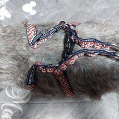 犬用ハーネス【新品】ケーナインイクイップメント、【美品】コンフォートフレックスの画像