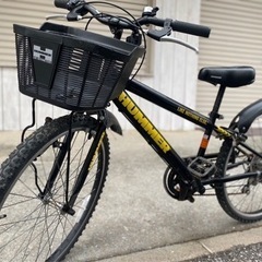 かっこいい自転車　決まりました