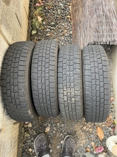 155/65R14 ダンロップ ウィンターマックス  WM01