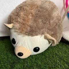 ハリネズミ　ぬいぐるみ