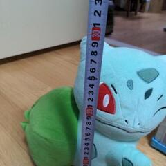 ポケモンぬいぐるみ　フシギダネの画像