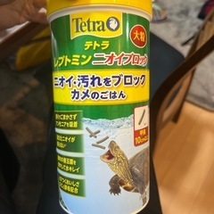 亀のエサ