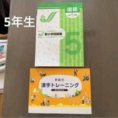 5年生 国語問題集 ＋ 漢字トレーニング 2冊セットの画像