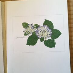 玉村豊男花画集 直筆サイン入の画像