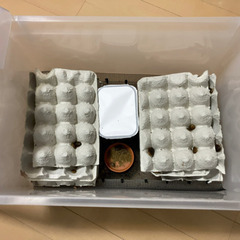 【お取り置き中】デュビア ケースごと売ります、買ってください。 ...