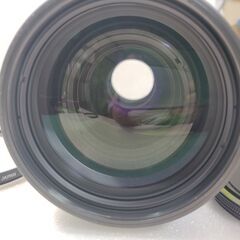 AF NIKKOR 80-200mm f2.8 /動作確認済みの画像