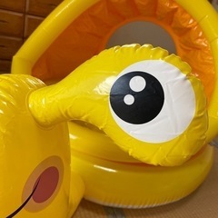 カタツムリプールの画像