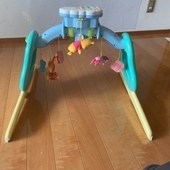 プーメリーの画像