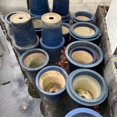 植木鉢　26センチ　陶器　昭和レトロ　アンティーク　信楽焼　深鉢　長鉢　腰高鉢　懸崖鉢の画像