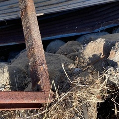 長物　整理に　　鉄。単管 はざかげ 棒の画像