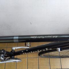 無料配達>ラレー(Raleigh)アルミフレーム 適応身長174-185cm