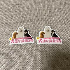 犬議会議員選挙　ステッカー　2枚　シール　宮城県議員選挙の画像