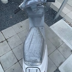 タクトの画像