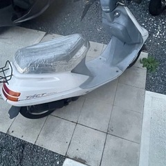 タクトの画像
