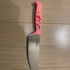 アナ雪　プリンセス　3歳　4歳　5歳　リュック　箸　はし　こども包丁　レインブーツの画像