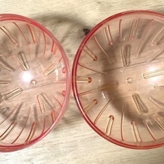 １つ500円〜　ハムスター ハウス どんぐり　サメ　ランナーボール　部屋んぽ　回し車　きのこ　家　おうち　可愛い　CASA ゴールデンののぞいて安心ハウス　マルカン　ハムスター 小動物 ハウス のぞける 天然木　猫　犬　　おもちゃ　インテリア　小動物　ロボロフスキー　ジャンガリアンの画像