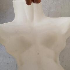 ディスプレイ用 レディースハンガー3つの画像