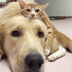 友達募集中です😃 - 友達
